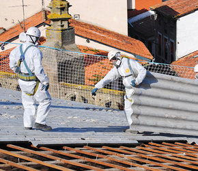Lutz Bau: die Spezialisten für fachgerechten Asbestabbau